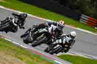 Advanced Group Silver_Grey Bikes